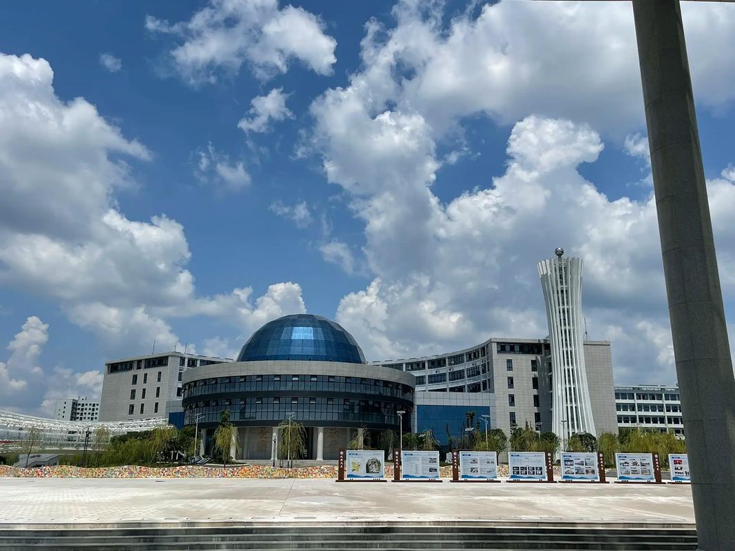 岳陽現(xiàn)代服務(wù)職業(yè)學(xué)院應(yīng)用服務(wù)的發(fā)展與前景